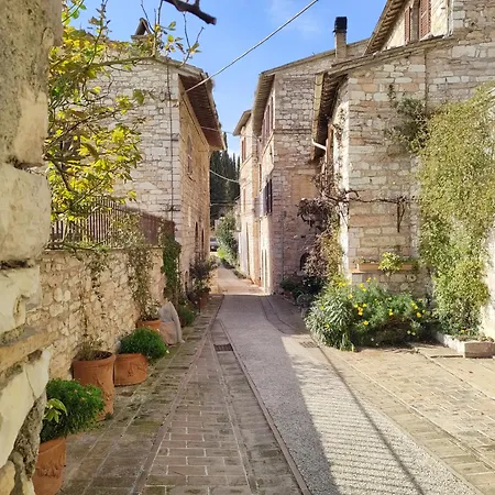 Il 